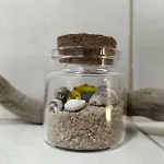 New House