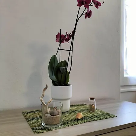 New House Appartement La Spezia